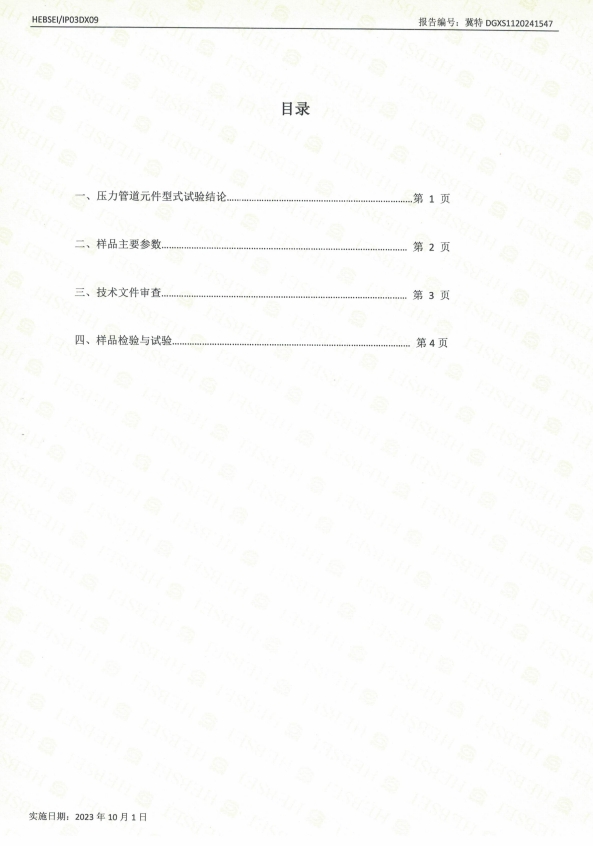 特種設(shè)備型式試驗(yàn)報(bào)告9