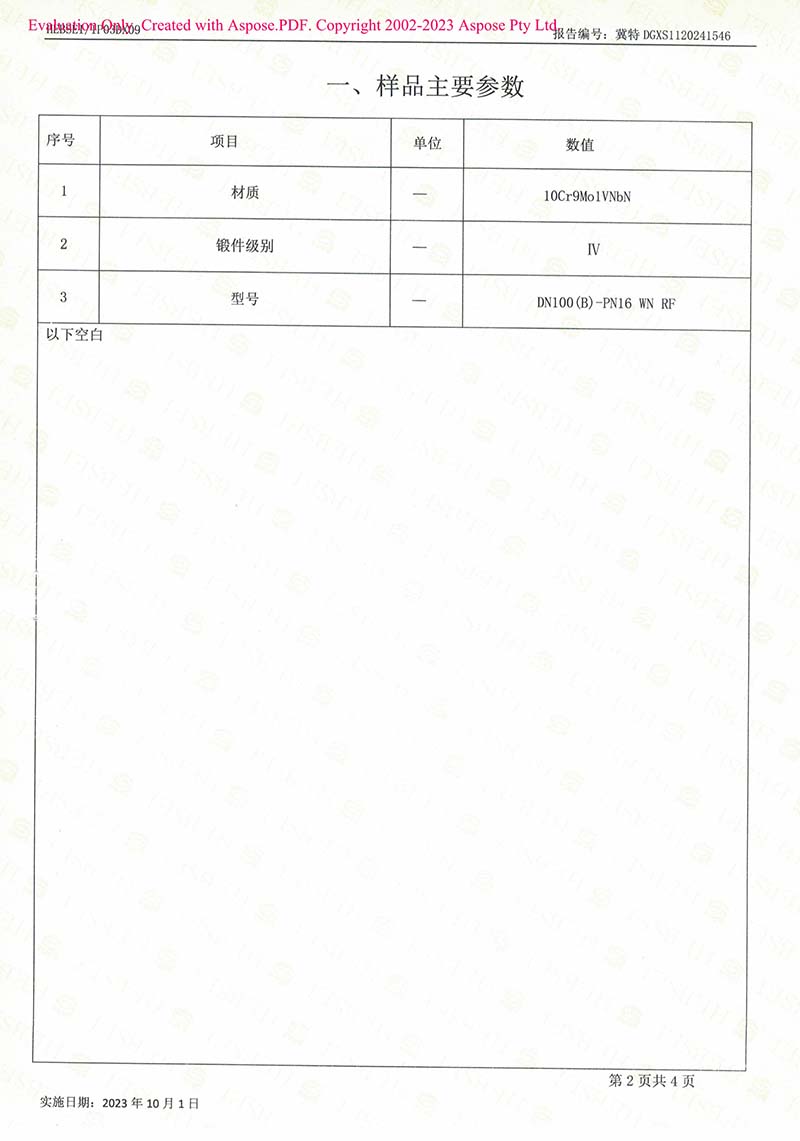 特種設(shè)備型式試驗報告4