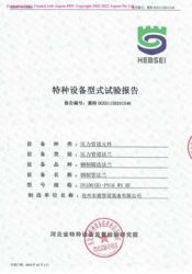 特種設(shè)備型式試驗(yàn)報(bào)告1