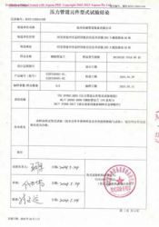 特種設(shè)備型式試驗(yàn)報(bào)告3
