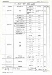 特種設(shè)備型式試驗(yàn)報(bào)告13